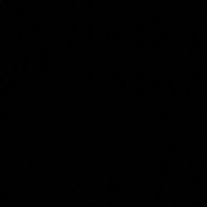 Meet your Posher, Annelise